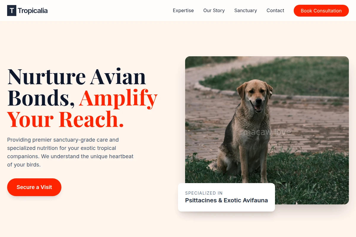animal-care