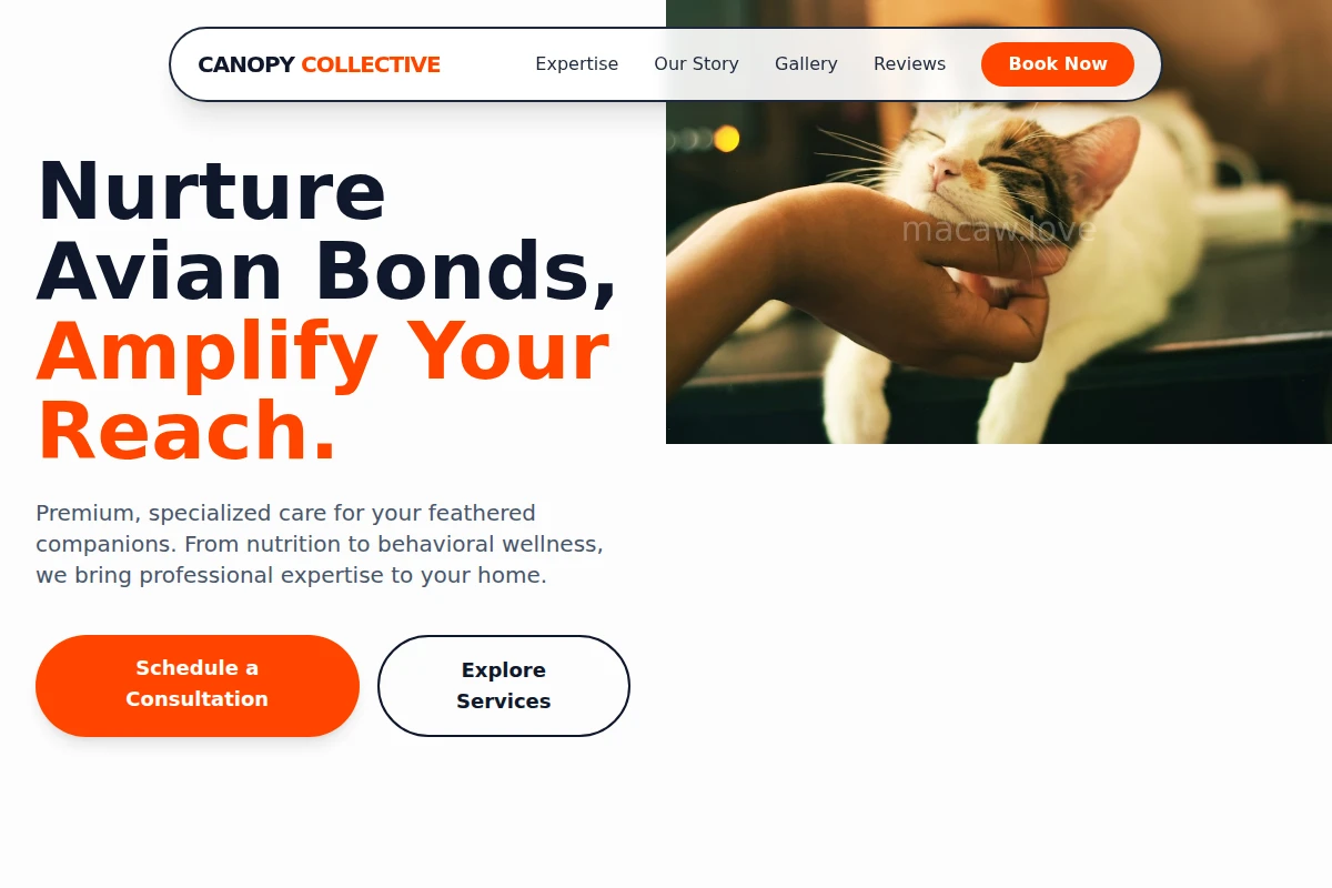 Playful Animal Care