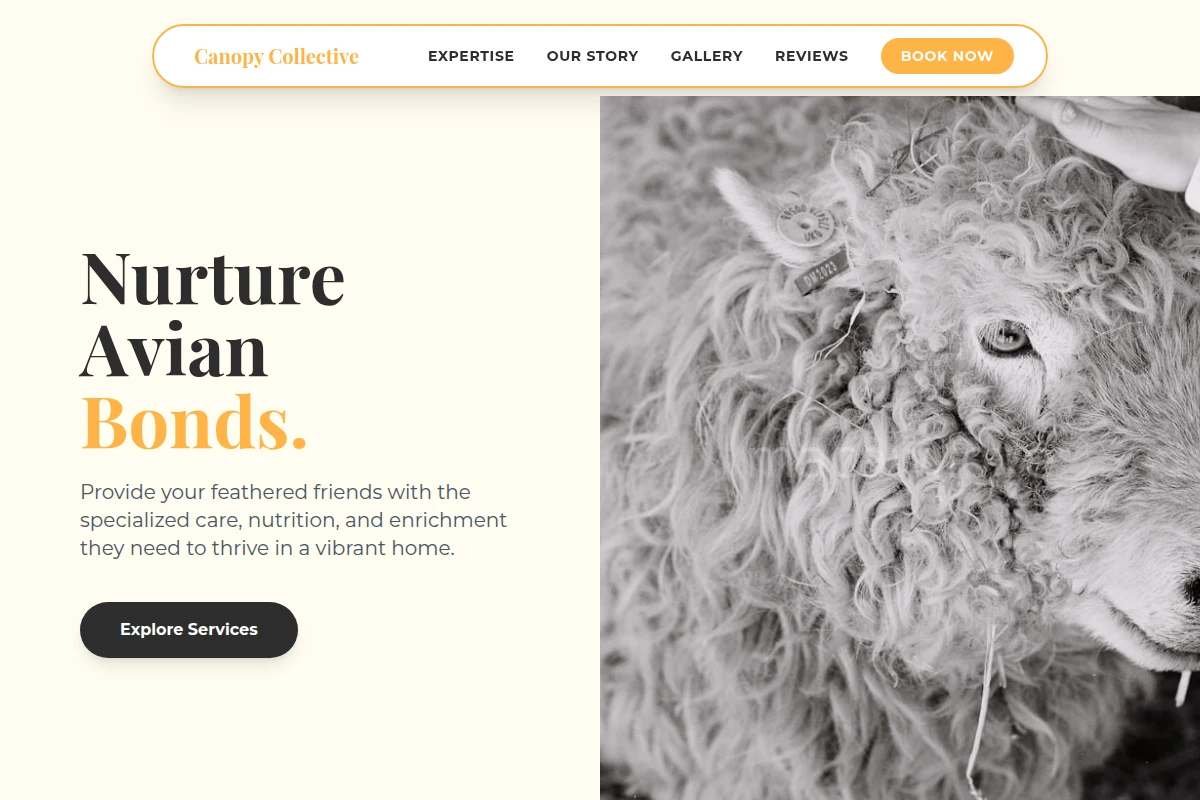 Clutch Animal Care