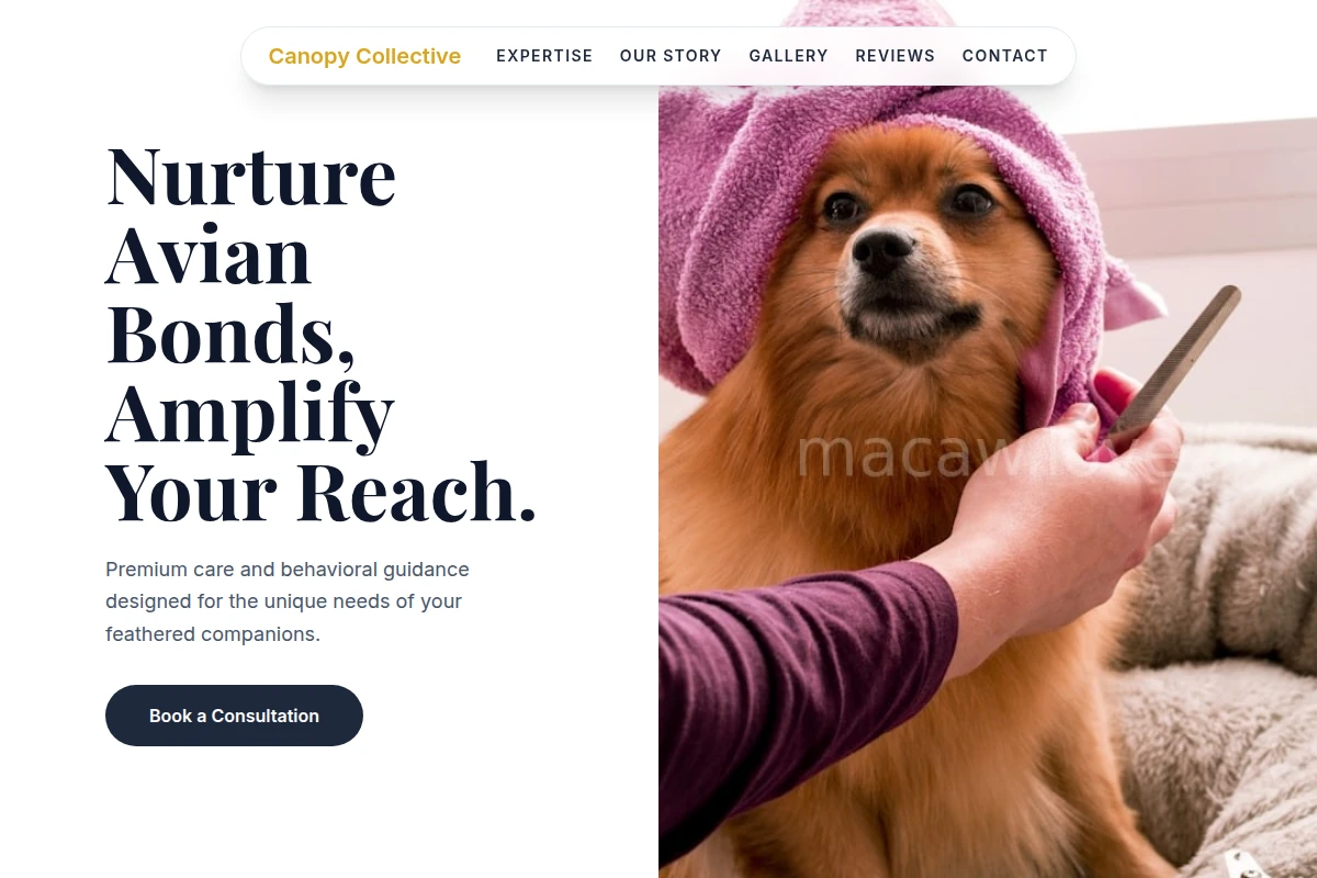 Bright Animal Care