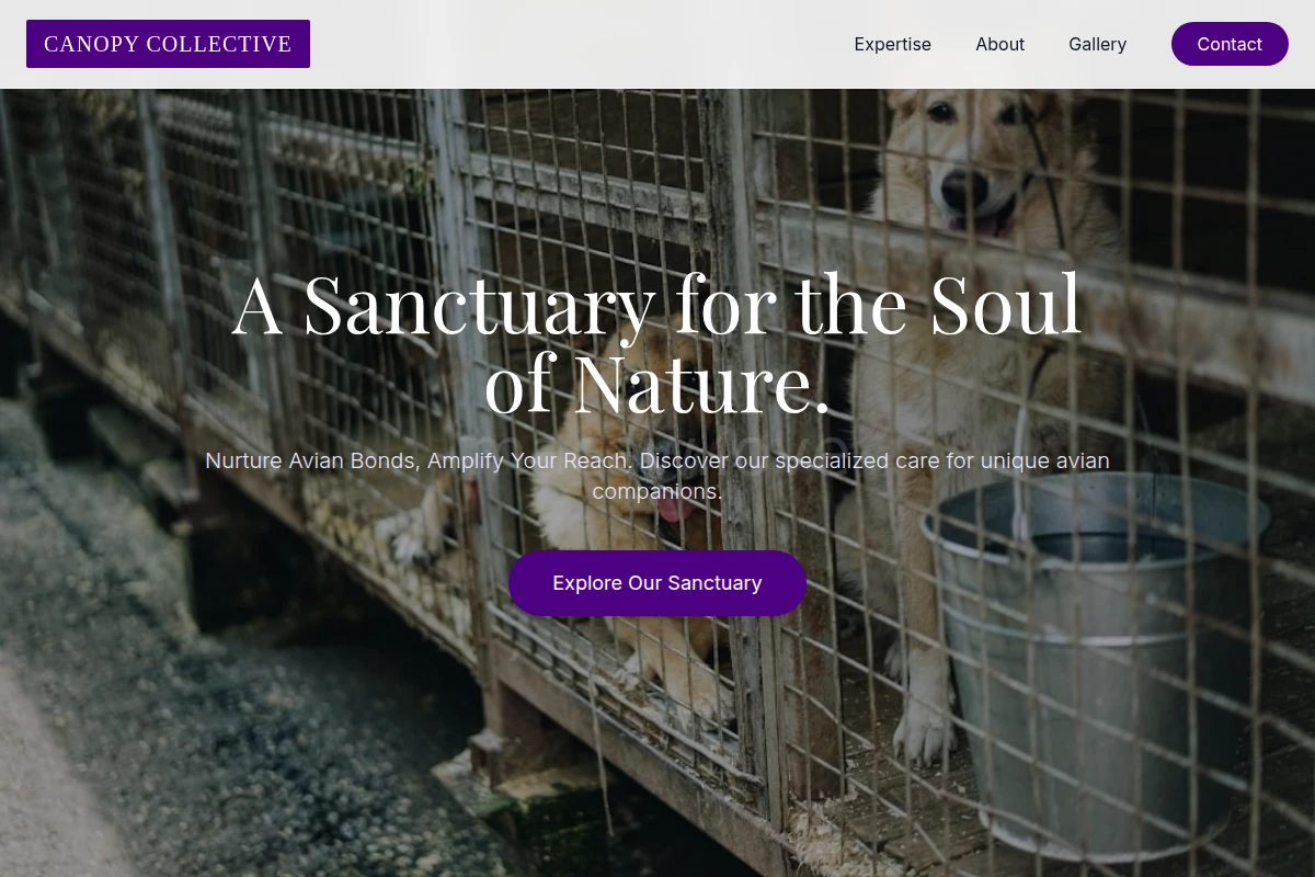 animal-shelter
