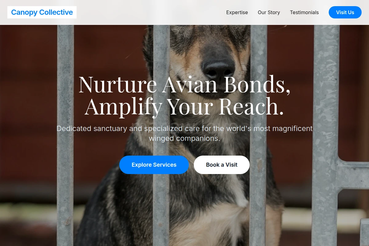 Azure Animal Shelter